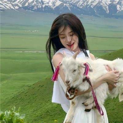 法王艳史封面